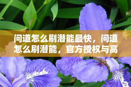 问道怎么刷潜能最快,问道怎么刷潜能,官方授权与高效策略 问道怎么刷潜能最快,问道怎么刷潜能,官方授权与高效策略