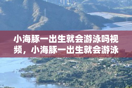小海豚一出生就会游泳吗视频,小海豚一出生就会游泳吗? 小海豚一出生就会游泳吗视频,小海豚一出生就会游泳吗?