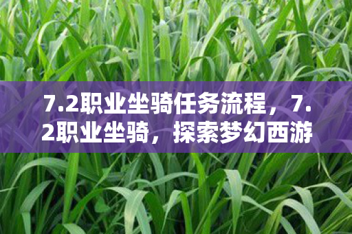 7.2职业坐骑任务流程,7.2职业坐骑,探索梦幻西游中的独特魅力 7.2职业坐骑任务流程,7.2职业坐骑,探索梦幻西游中的独特魅力