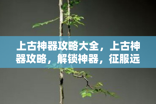 上古神器攻略大全，上古神器攻略，解锁神器，征服远古的奥秘