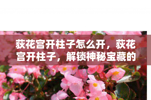 荻花宫开柱子怎么开,荻花宫开柱子,解锁神秘宝藏的奇幻之旅 荻花宫开柱子怎么开,荻花宫开柱子,解锁神秘宝藏的奇幻之旅