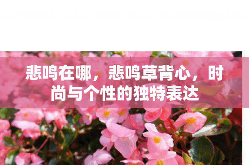 悲鸣在哪,悲鸣草背心,时尚与个性的独特表达 悲鸣在哪,悲鸣草背心,时尚与个性的独特表达