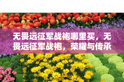 无畏远征军战袍哪里买,无畏远征军战袍,荣耀与传承的战魂象征 无畏远征军战袍哪里买,无畏远征军战袍,荣耀与传承的战魂象征