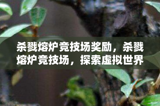 杀戮熔炉竞技场奖励，杀戮熔炉竞技场，探索虚拟世界的竞技盛宴