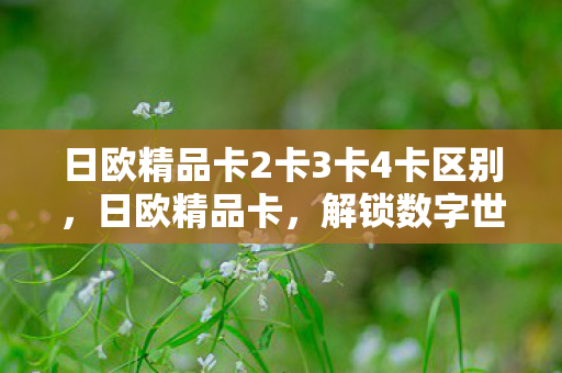 日欧精品卡2卡3卡4卡区别,日欧精品卡,解锁数字世界的无限可能 日欧精品卡2卡3卡4卡区别,日欧精品卡,解锁数字世界的无限可能