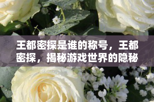 王都密探是谁的称号,王都密探,揭秘游戏世界的隐秘角落 王都密探是谁的称号,王都密探,揭秘游戏世界的隐秘角落