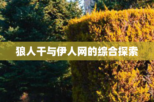 狼人干与伊人网的综合探索 狼人干与伊人网的综合探索