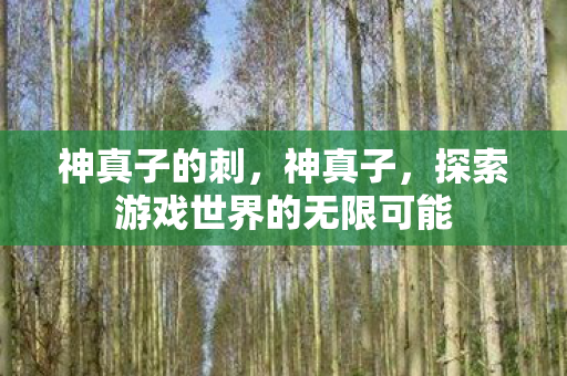 神真子的刺,神真子,探索游戏世界的无限可能 神真子的刺,神真子,探索游戏世界的无限可能