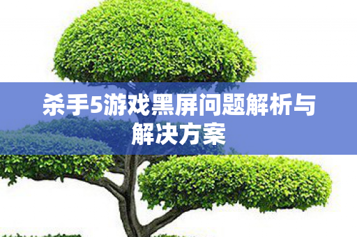 杀手5游戏黑屏问题解析与解决方案 杀手5游戏黑屏问题解析与解决方案