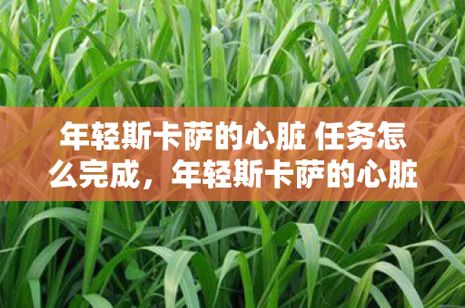 年轻斯卡萨的心脏 任务怎么完成,年轻斯卡萨的心脏,探索未知世界的奇幻之旅 年轻斯卡萨的心脏 任务怎么完成,年轻斯卡萨的心脏,探索未知世界的奇幻之旅