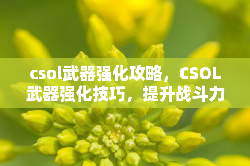 csol武器强化攻略,CSOL武器强化技巧,提升战斗力的关键步骤 csol武器强化攻略,CSOL武器强化技巧,提升战斗力的关键步骤