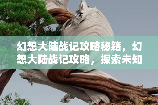 幻想大陆战记攻略秘籍,幻想大陆战记攻略,探索未知,征服世界的策略指南 幻想大陆战记攻略秘籍,幻想大陆战记攻略,探索未知,征服世界的策略指南