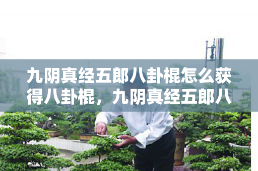 九阴真经五郎八卦棍怎么获得八卦棍,九阴真经五郎八卦棍,武侠世界中的绝世神兵 九阴真经五郎八卦棍怎么获得八卦棍,九阴真经五郎八卦棍,武侠世界中的绝世神兵