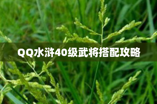 QQ水浒40级武将搭配攻略 QQ水浒40级武将搭配攻略