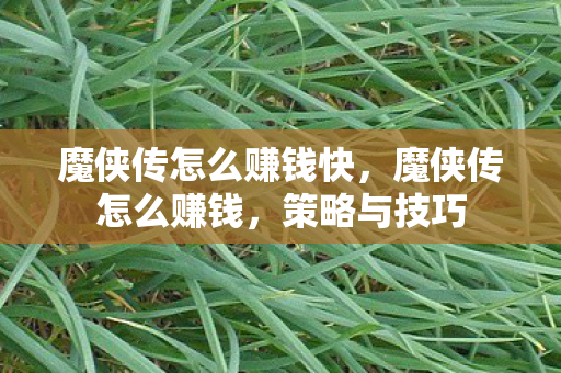 魔侠传怎么赚钱快,魔侠传怎么赚钱,策略与技巧 魔侠传怎么赚钱快,魔侠传怎么赚钱,策略与技巧