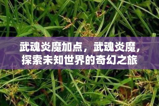 武魂炎魔加点,武魂炎魔,探索未知世界的奇幻之旅 武魂炎魔加点,武魂炎魔,探索未知世界的奇幻之旅