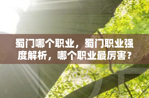 蜀门哪个职业,蜀门职业强度解析,哪个职业最厉害? 蜀门哪个职业,蜀门职业强度解析,哪个职业最厉害?
