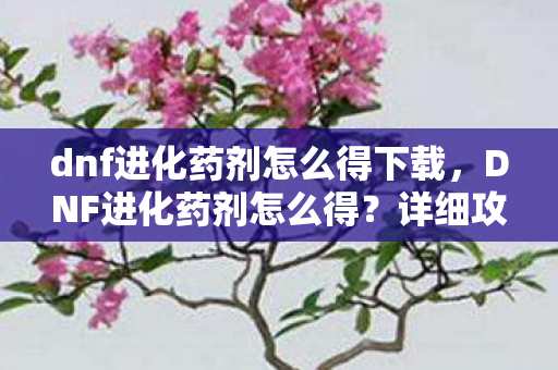 dnf进化药剂怎么得下载,DNF进化药剂怎么得?详细攻略助你轻松获取 dnf进化药剂怎么得下载,DNF进化药剂怎么得?详细攻略助你轻松获取