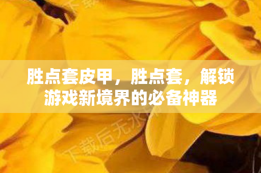 胜点套皮甲,胜点套,解锁游戏新境界的必备神器 胜点套皮甲,胜点套,解锁游戏新境界的必备神器