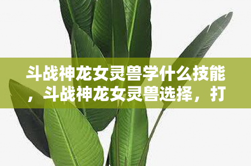 斗战神龙女灵兽学什么技能,斗战神龙女灵兽选择,打造最强战斗伙伴 斗战神龙女灵兽学什么技能,斗战神龙女灵兽选择,打造最强战斗伙伴