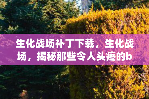 生化战场补丁下载,生化战场,揭秘那些令人头疼的bug 生化战场补丁下载,生化战场,揭秘那些令人头疼的bug