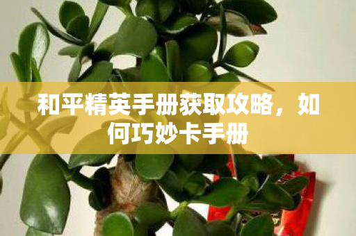 和平精英手册获取攻略,如何巧妙卡手册 和平精英手册获取攻略,如何巧妙卡手册