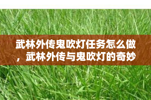 武林外传鬼吹灯任务怎么做,武林外传与鬼吹灯的奇妙碰撞 武林外传鬼吹灯任务怎么做,武林外传与鬼吹灯的奇妙碰撞