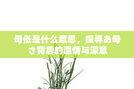 母伥是什么意思,探寻あ母さ背后的温情与深意 母伥是什么意思,探寻あ母さ背后的温情与深意