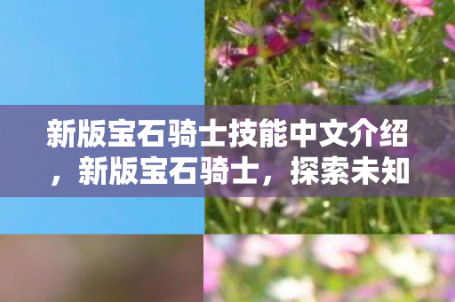 新版宝石骑士技能中文介绍，新版宝石骑士，探索未知世界的奇幻之旅