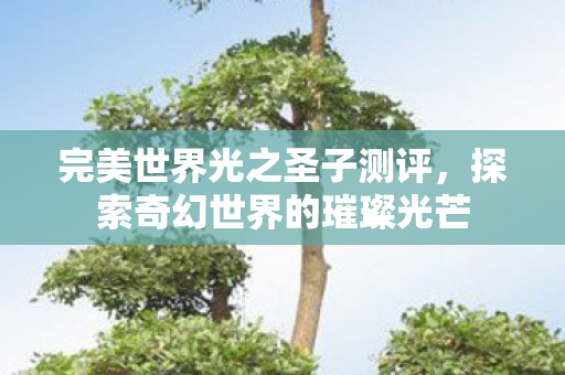 完美世界光之圣子测评，探索奇幻世界的璀璨光芒