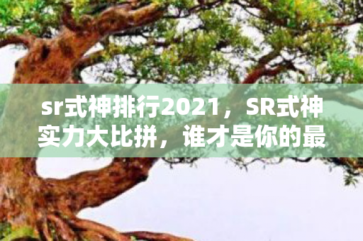 sr式神排行2021,SR式神实力大比拼,谁才是你的最强伙伴? sr式神排行2021,SR式神实力大比拼,谁才是你的最强伙伴?