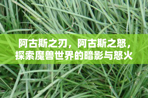 阿古斯之刃,阿古斯之怒,探索魔兽世界的暗影与怒火 阿古斯之刃,阿古斯之怒,探索魔兽世界的暗影与怒火