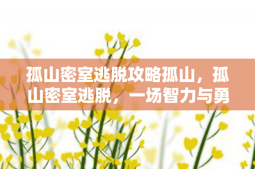 孤山密室逃脱攻略孤山，孤山密室逃脱，一场智力与勇气的冒险
