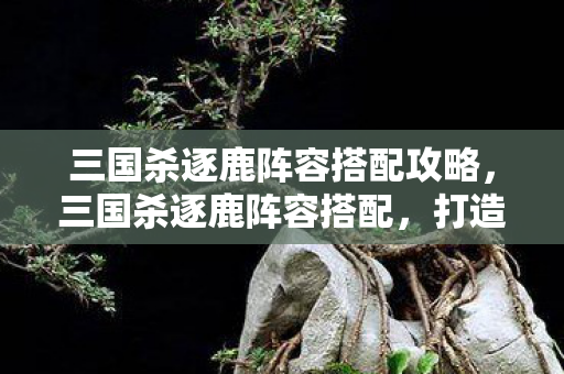 三国杀逐鹿阵容搭配攻略，三国杀逐鹿阵容搭配，打造最强战力