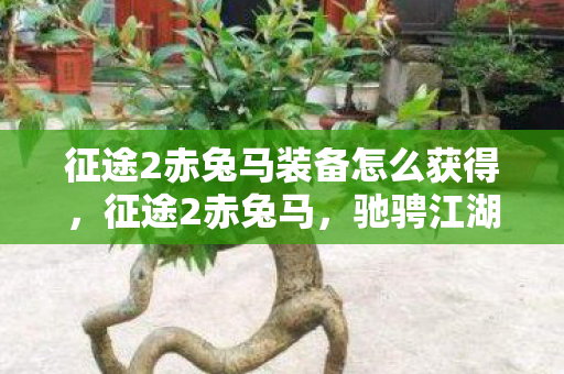 征途2赤兔马装备怎么获得,征途2赤兔马,驰骋江湖的梦幻坐骑 征途2赤兔马装备怎么获得,征途2赤兔马,驰骋江湖的梦幻坐骑