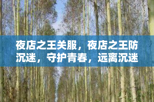 夜店之王关服,夜店之王防沉迷,守护青春,远离沉迷 夜店之王关服,夜店之王防沉迷,守护青春,远离沉迷