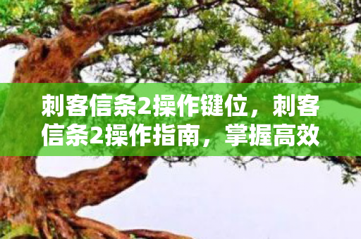 刺客信条2操作键位,刺客信条2操作指南,掌握高效战斗技巧 刺客信条2操作键位,刺客信条2操作指南,掌握高效战斗技巧