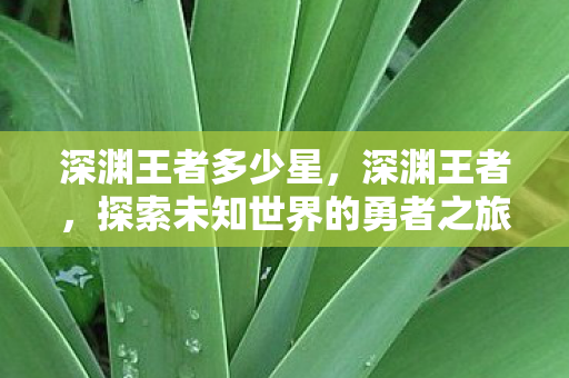 深渊王者多少星,深渊王者,探索未知世界的勇者之旅 深渊王者多少星,深渊王者,探索未知世界的勇者之旅