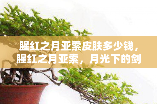 腥红之月亚索皮肤多少钱，腥红之月亚索，月光下的剑影传奇