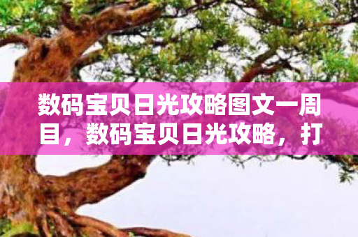 数码宝贝日光攻略图文一周目,数码宝贝日光攻略,打造最强阵容,征服日光世界 数码宝贝日光攻略图文一周目,数码宝贝日光攻略,打造最强阵容,征服日光世界
