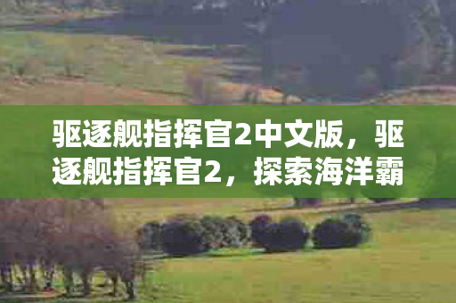 驱逐舰指挥官2中文版,驱逐舰指挥官2,探索海洋霸权的战术与战略 驱逐舰指挥官2中文版,驱逐舰指挥官2,探索海洋霸权的战术与战略