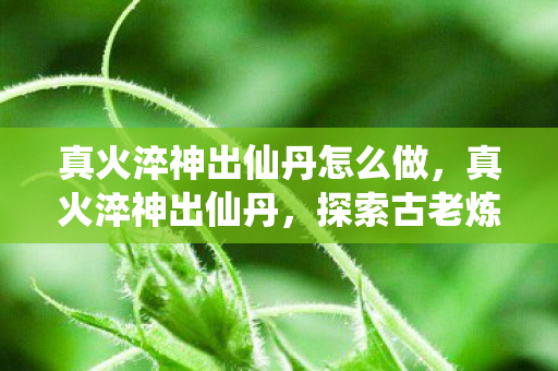 真火淬神出仙丹怎么做，真火淬神出仙丹，探索古老炼丹术的奥秘