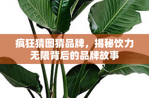 疯狂猜图猜品牌,揭秘饮力无限背后的品牌故事 疯狂猜图猜品牌,揭秘饮力无限背后的品牌故事