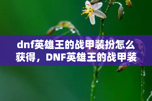 dnf英雄王的战甲装扮怎么获得,DNF英雄王的战甲装扮,探索游戏中的时尚与力量 dnf英雄王的战甲装扮怎么获得,DNF英雄王的战甲装扮,探索游戏中的时尚与力量