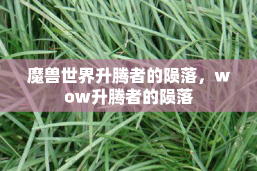 魔兽世界升腾者的陨落，wow升腾者的陨落