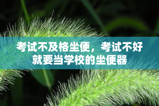 考试不及格坐便,考试不好就要当学校的坐便器 考试不及格坐便,考试不好就要当学校的坐便器