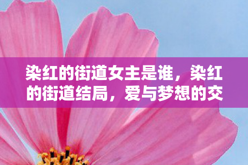染红的街道女主是谁，染红的街道结局，爱与梦想的交响曲