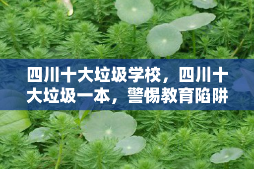 四川十大垃圾学校,四川十大垃圾一本,警惕教育陷阱,选择需谨慎 四川十大垃圾学校,四川十大垃圾一本,警惕教育陷阱,选择需谨慎