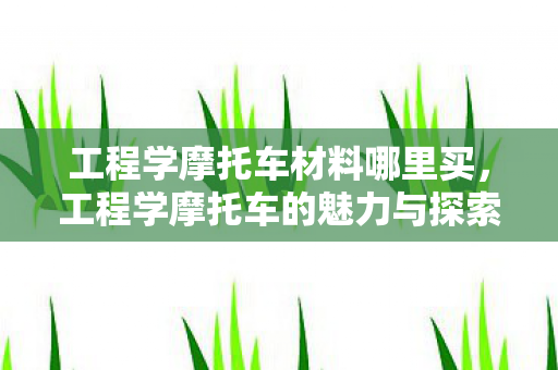 工程学摩托车材料哪里买，工程学摩托车的魅力与探索