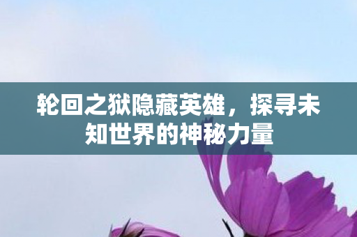 轮回之狱隐藏英雄，探寻未知世界的神秘力量